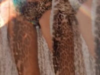 Charger et lire la vidéo dans la visionneuse de la Galerie, Video: Empress Top Top Biquini Angel Leopardo